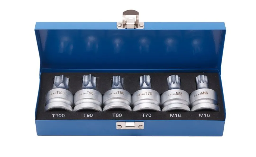 Набор головок Torx, Spline с отверстием 3/4»6пр.(Т70, Т80, Т90, Т100, М16, М18), в кейсе