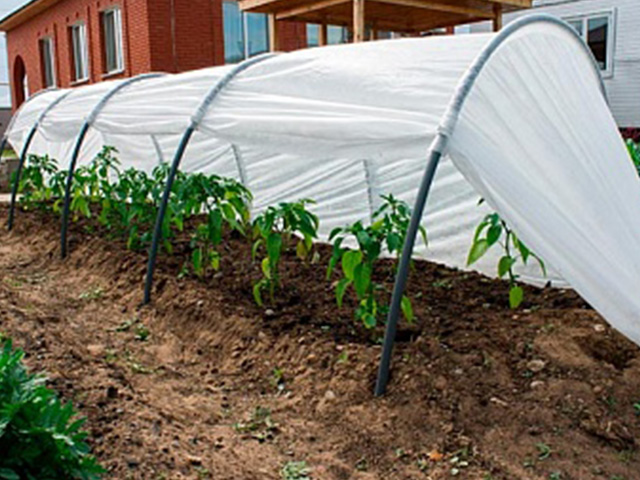 Парник «Бабушкин парничок» 4м, ОСТРОВ КОМФОРТА