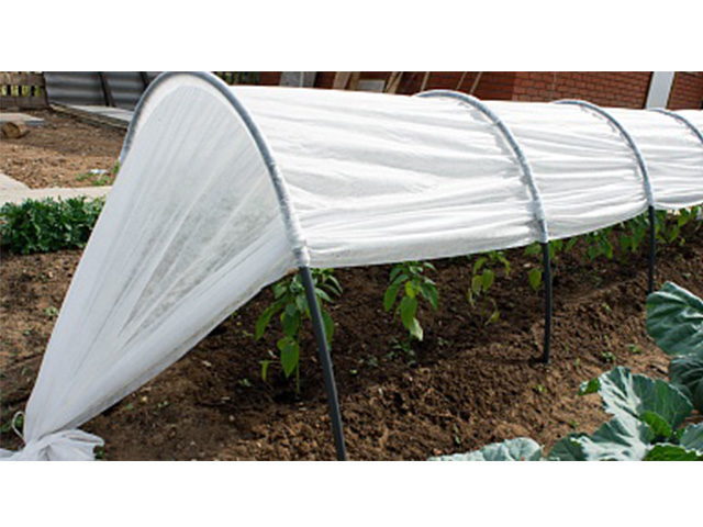 Парник «Фазенда Люкс» 8м, ОСТРОВ КОМФОРТА